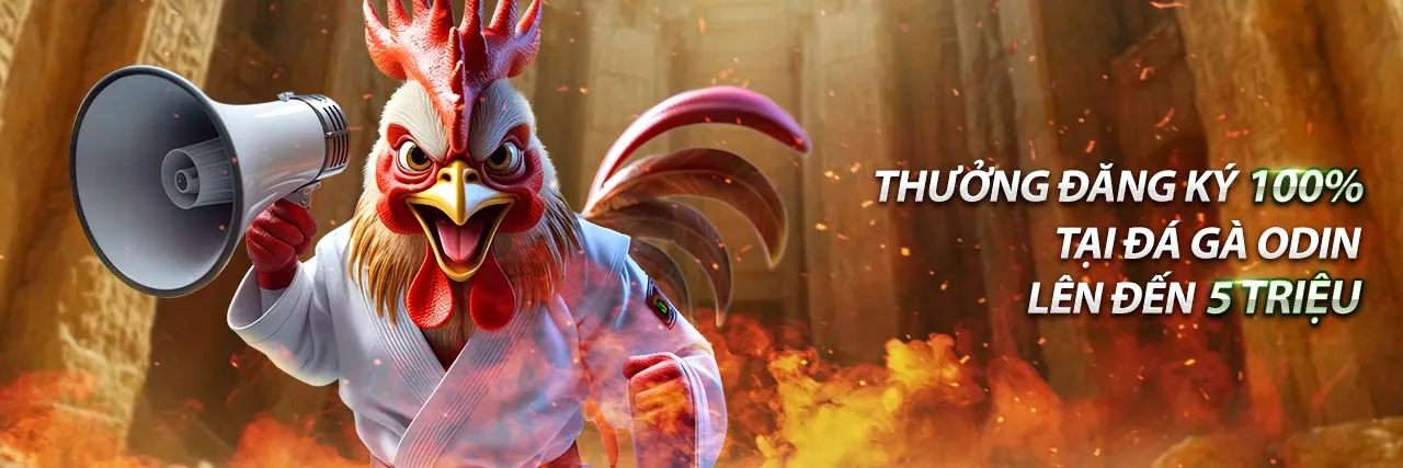 Sân vận động thể thao với đèn sáng, thể hiện sự phấn khích của cá cược thể thao thien hạ bet